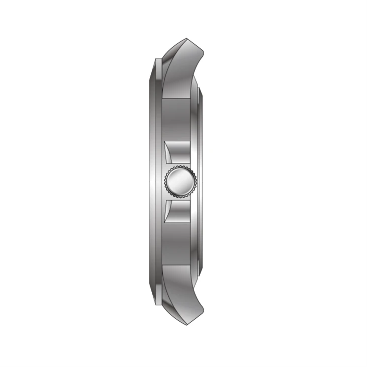 Classic Seamaster Watch